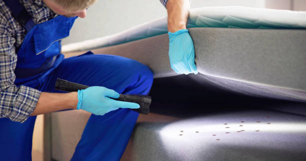 Best Emergency Pest Control  in Sturgis, SD