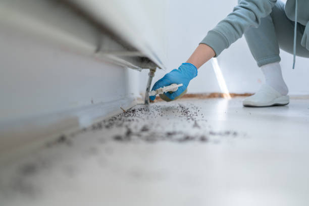 Best Mosquito Control Services  in Sturgis, SD